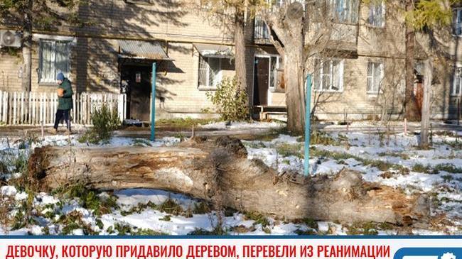 ❗ Девочку, которую придавило деревом в Челябинске, перевели из реанимации 