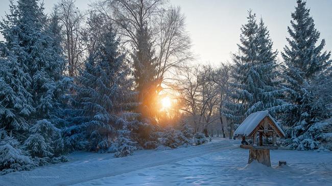 🐿 Кормушка в заснеженном парке им. Пушкина. Расскажите, куда вы ходите покормить белок и птиц?