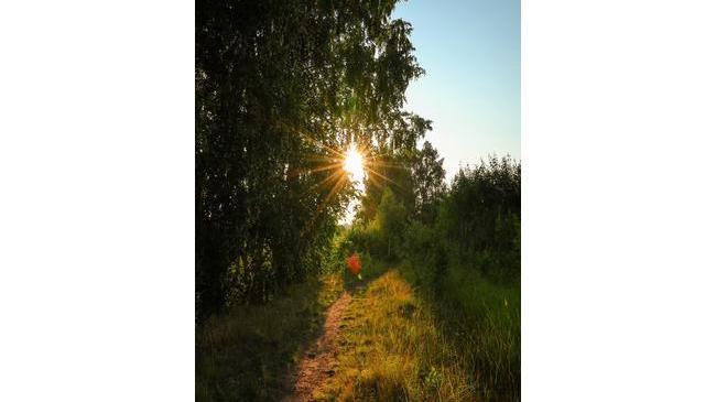 Доброго летнего утра, челябинцы ☀💚