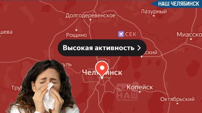 🍃 В воздухе зашкаливает концентрация аллергенов