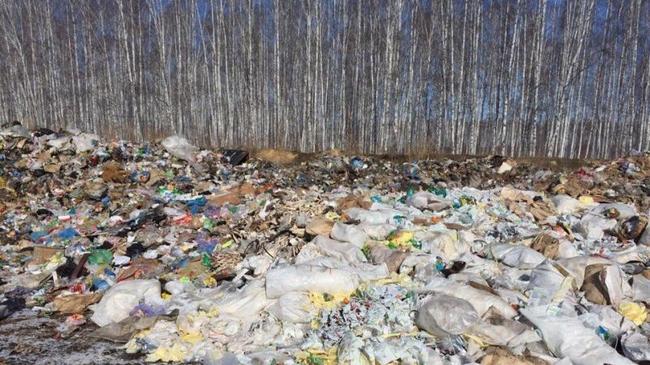 Суд не разрешил вывозить челябинские отходы в Полетаево