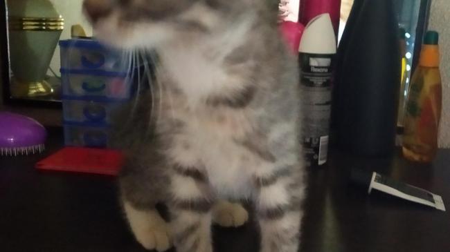 Срочно, нужна помощь, админ разместите пожалуйста