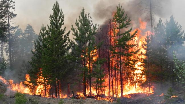 На Южном Урале усилены меры по предупреждению лесных пожаров