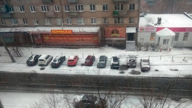 Перезимовали зиму❄ , перезимуем и весну! 😄