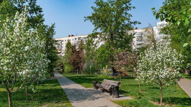 Доброе утро, Челябинск 🌼 Чем будете сегодня заниматься?