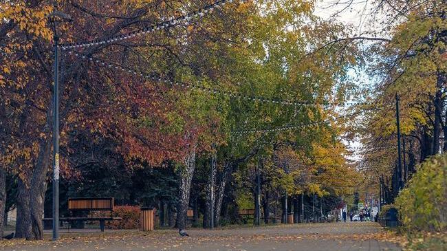 Доброе утро, Челябинск ⛅ С каким настроением проснулись, опиши стикером в комментариях 👇🏻