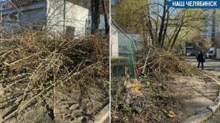 🌳 Челябинцы жалуются на кучи веток во дворах