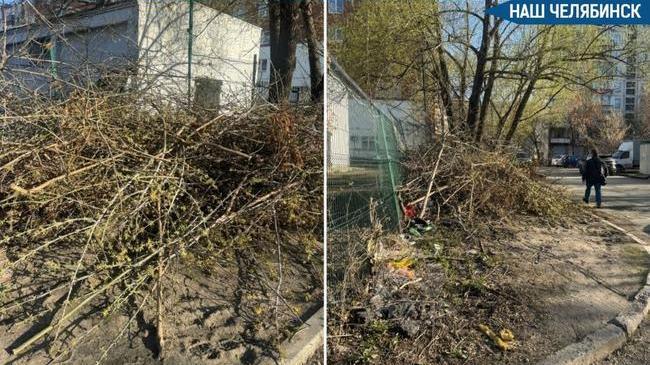 🌳 Челябинцы жалуются на кучи веток во дворах