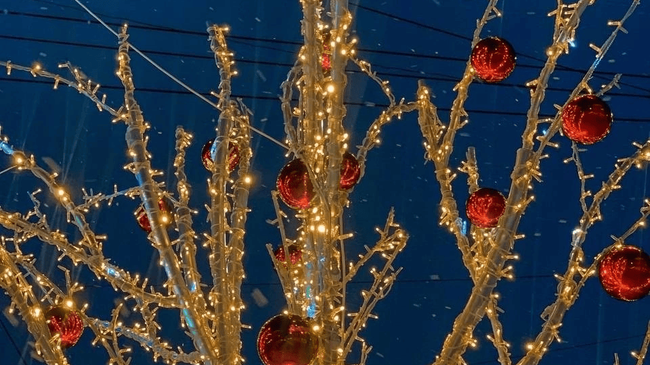 ✨ На площади Революции к Новому году установили красивые световые деревья.