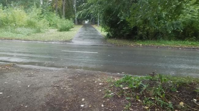 Пешеходная зебра где?