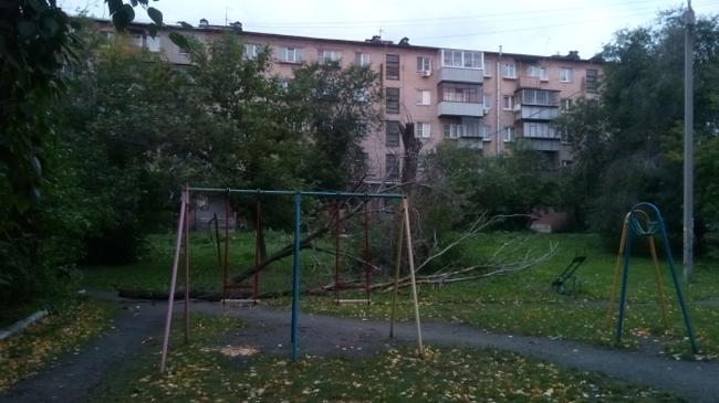 От сильного ветра упало дерево на детскую площадку. 