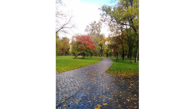 Осень в Челябинске: Алое поле🍂