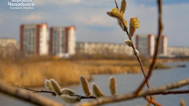 С добрым утром, друзья! ☕ Рассказывайте, кто уже был на улице - как там? 