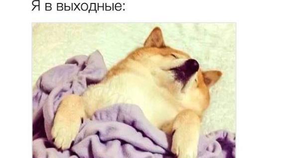 Миниатюра: Я и выходные