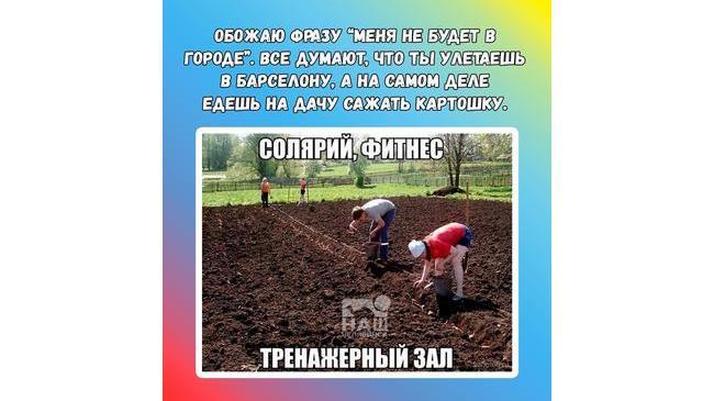 📅 Сегодня в России празднуют - День дачника. Праздник не является официальным, но очень любим всеми дачниками. ❓ А вы давно были на даче?