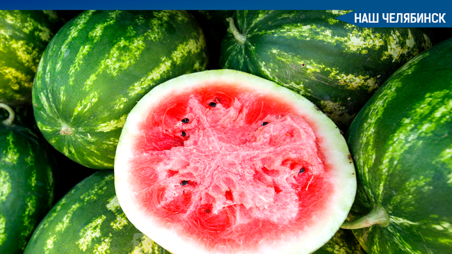 😱🍉 В крови умерших после отравления арбузом 61-летней женщины и ее 15-летней внучки были найдены следы яда