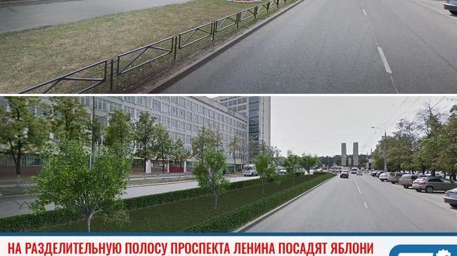 🌳 В Челябинске на разделительной полосе проспекта Ленина высадят яблони и кусты кизильника. 