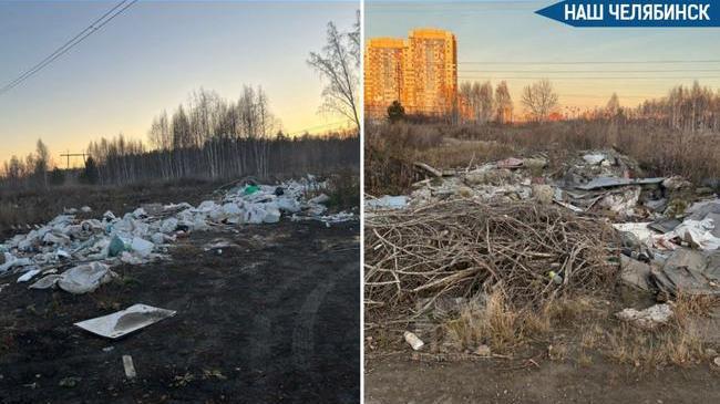🌳 Жители Паркового-2 пожаловались на свалку в лесу
