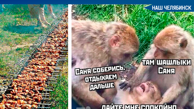 🍢 Вице-спикер Госдумы предложил продлить майские праздники с 1 по 10 мая.