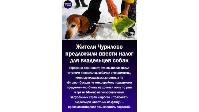 Жители Чурилово предложили ввести налог для владельцев собак 🐕