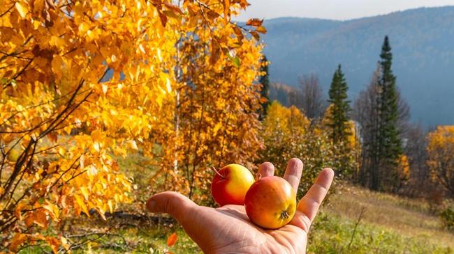 ☀ Солнечная осень в окрестностях Миньяра. Расскажите, где вы любите бывать осенью? 
