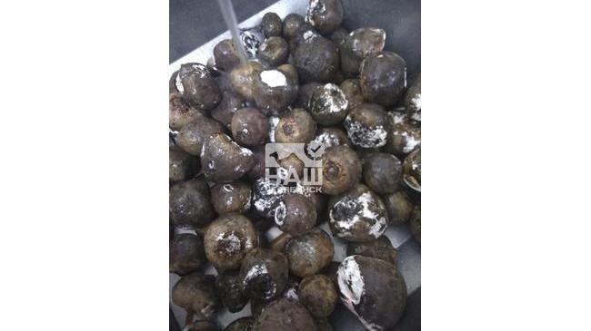 ❗ В челябинском детском саду детей кормят овощами и фруктами с плесенью 🤔.