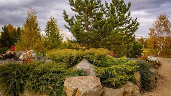 Осень. Челябинск❤