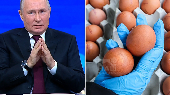 🥚 Путин ответил на вопросы про яйца и цены на них