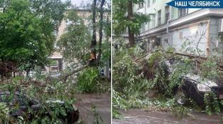 😲 Ураганный ветер повалил деревья в центре