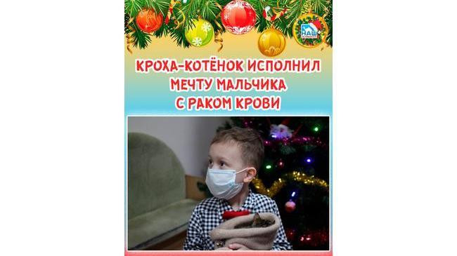 😻👶 Южноуральские юнармейцы подарили бенгальского котенка ребенку с онкологией 