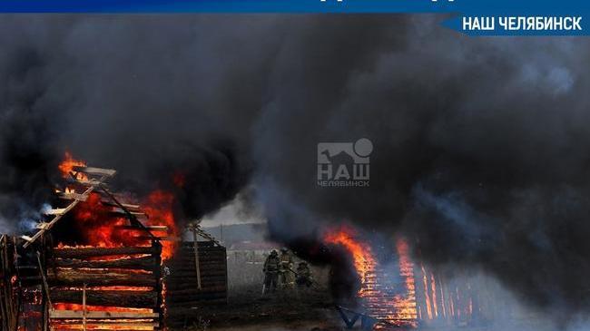 Устроил массовый пожар