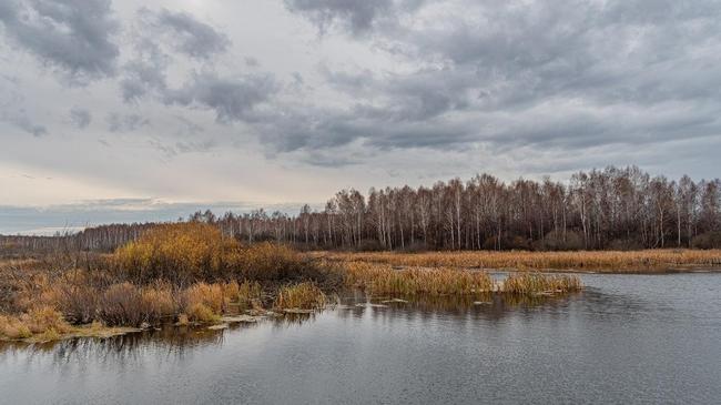 🍂 Живописная осень у реки Синара. Расскажите, что поднимает вам настроение осенью?