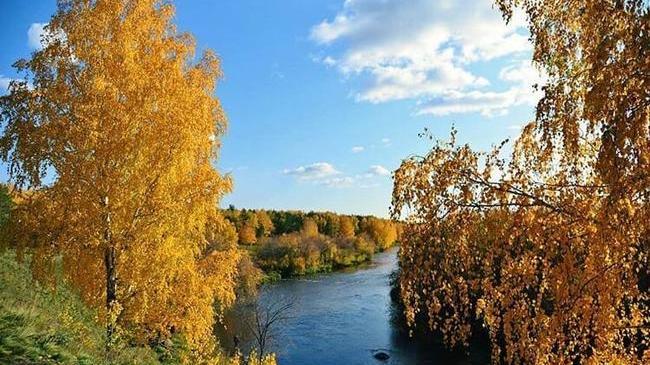 🍁 Золотая осень в Казанцево