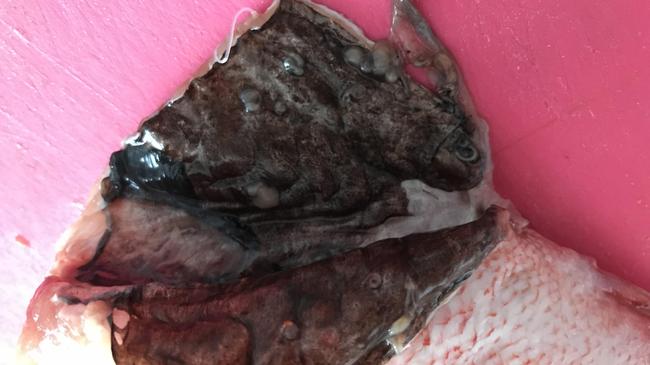 Здравствуйте,хочу поделиться этим ужасным зрелищем!