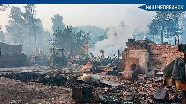 💰 С 11 июля начнутся выплаты пострадавшим из-за природных пожаров в Челябинской области.