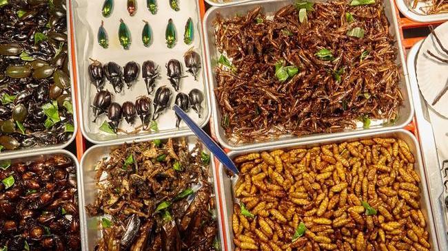 😨 В России предложили заменить мясо насекомыми