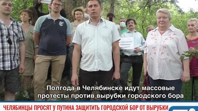 ❗Челябинцы просят у Путина защитить городской бор от вырубки 🌲