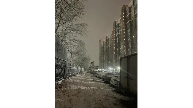 ❄️ Челябинцы начали делиться фотографиями первого снега в соцсетях