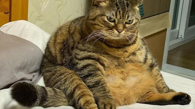 ❓А вы, друзья, устали от сидеть дома? 😁 Соскучились по работе, школе и прогулкам в парке?