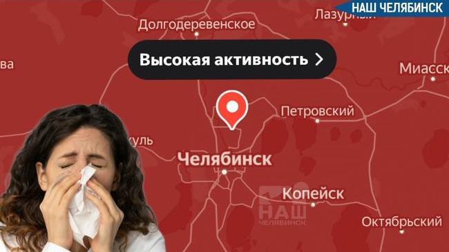 🤧 Концентрация пыльцы достигла пиковых значений в Челябинске 