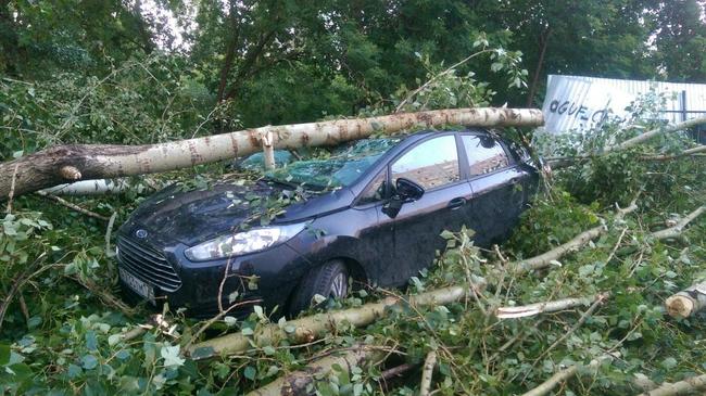 «Было очень страшно». В Копейске жуткий шторм помял машины и сломал деревья