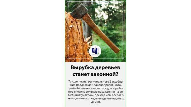 🌲В Челябинской области приняли закон об обязательной вырубке деревьев на бесплатных участках