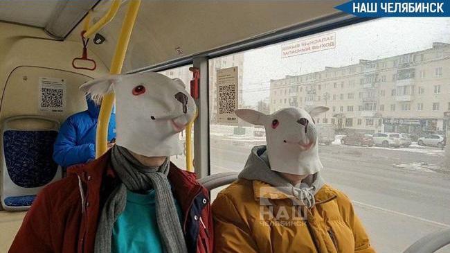🚍 Более 200 «зайцев» поймали в общественном транспорте Челябинска 