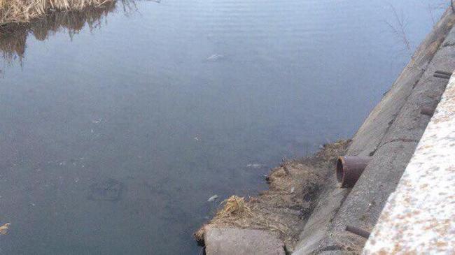 Экологи обнаружили подозрительный сток в реку Миасс в самом центре Челябинска