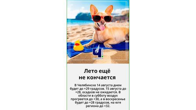 ☀ В Челябинской области в выходные ожидается жарка погода 