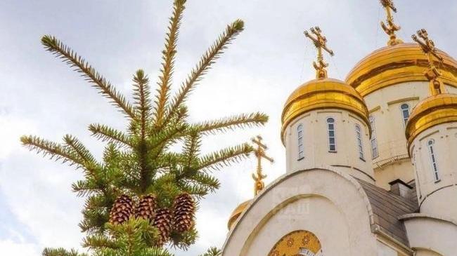 🎄 Рождество Христово отметят в Челябинске 