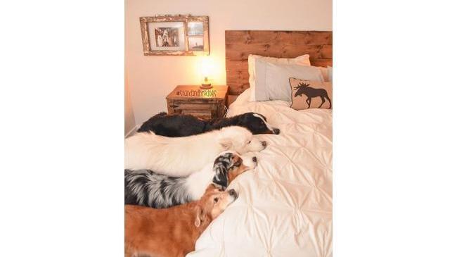 Ко сну готовы!