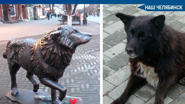 😨 Бронзовую скульптуру, которая уже несколько лет стоит на Кировке, хотят демонтировать. 