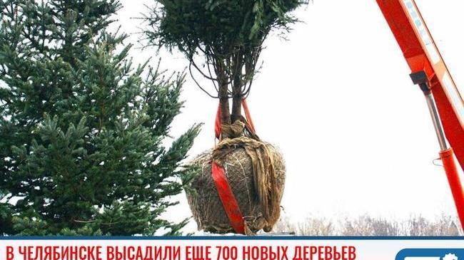 ⚡В Челябинске высадили еще 700 новых деревьев 🌳