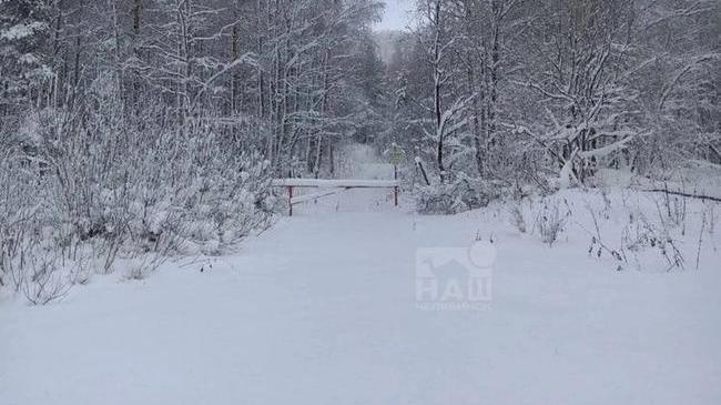 ❄️На Зигальге сугробы выросли до 30 сантиметров